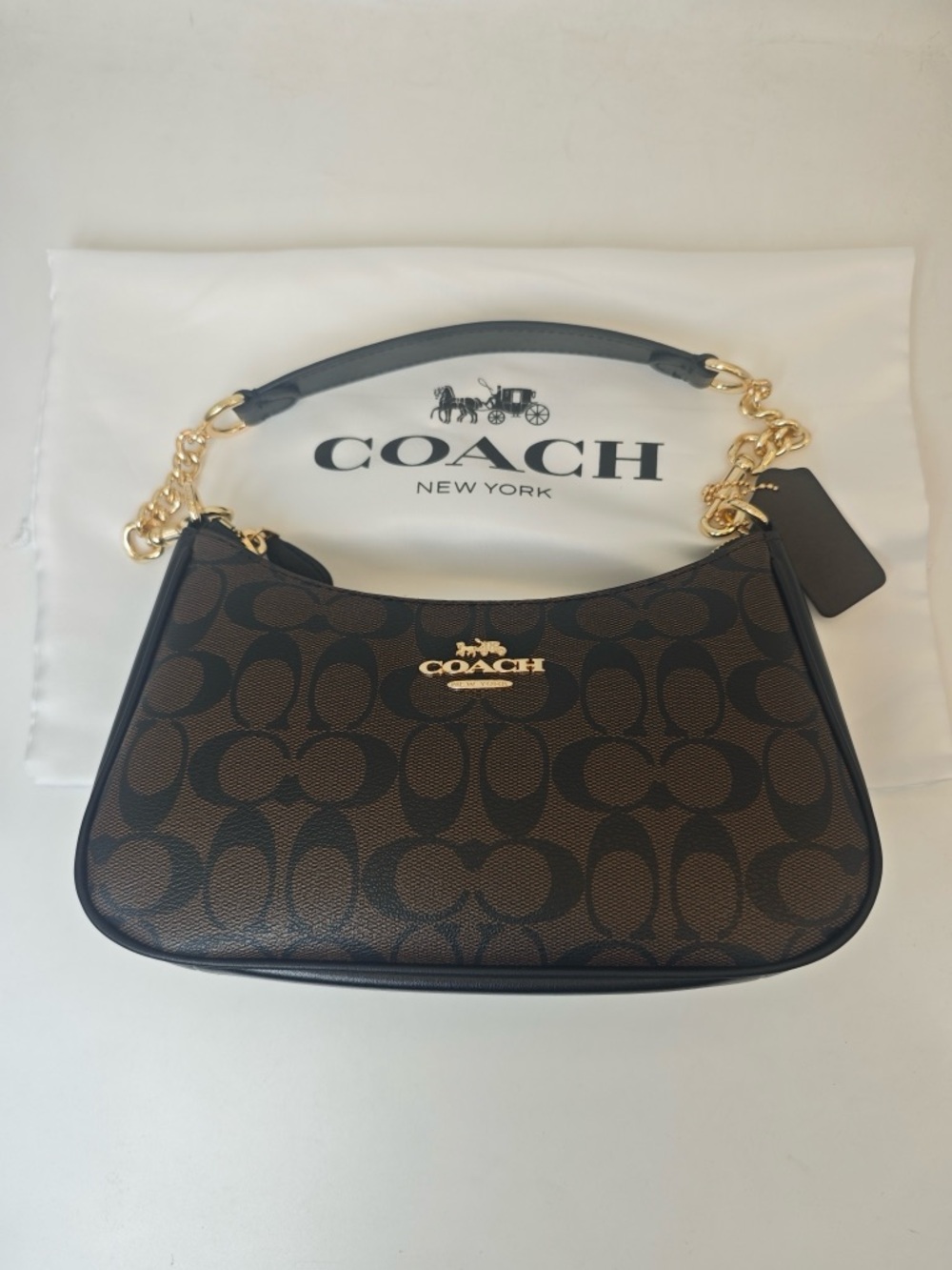 Coach Dark Brown Signature Mini Hobo with Gold Chain - Picture 12 of 12
